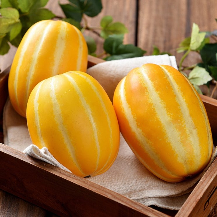 많이 찾는 성주 참외 프리미엄 로얄과 특상품 선물용 참외 2kg 3kg 5kg, 프리미엄 로얄과 참외 5kg 좋아요 많이 찾는 성주 참외 프리미엄 로얄과 특상품 선물용 참외 2kg 3kg 5kg, 프리미엄 로얄과 참외 5kg 좋아요