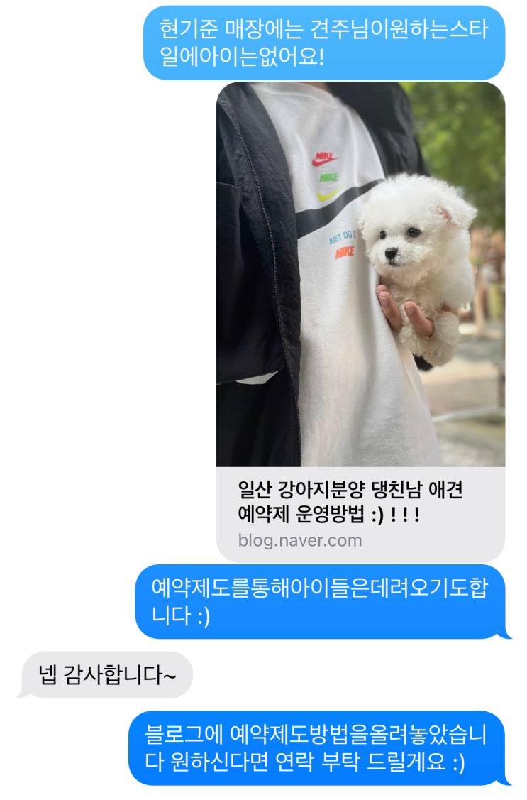  말티푸 분양 스토리 서울 강아지분양 :) ! ! !
