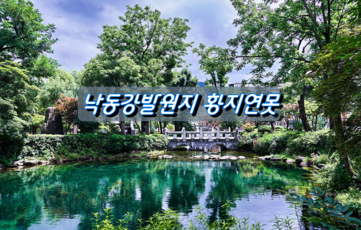 산소도시 태백 가볼만한곳, 낙동강 발원지 황지연못 산소도시 태백 가볼만한곳, 낙동강 발원지 황지연못