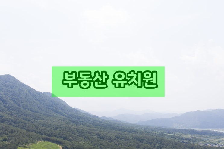  부동산 용어와 친해지면 반은 먹고 들어간다(등기사항전부증명서)