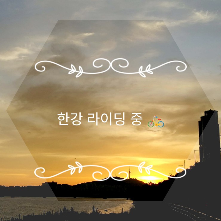 [오늘일기] 한강을 달리다 (Feat. 따릉이 타고)