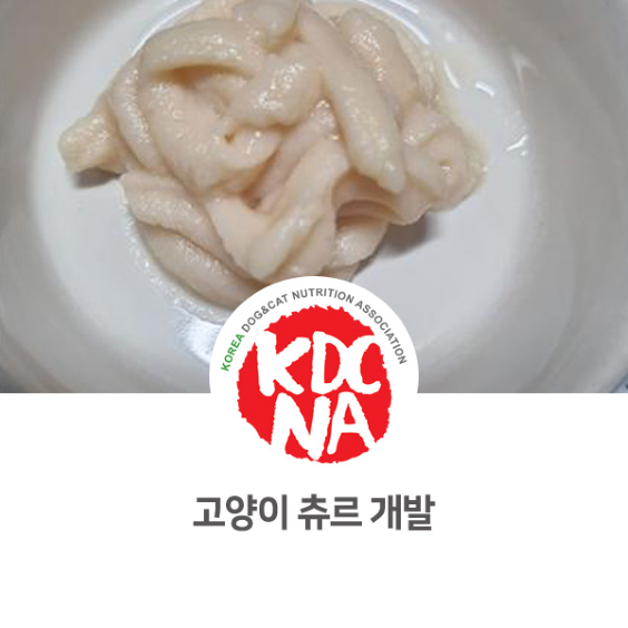  정유경 펫영양사 고양이 츄르 제품 개발[한국반려동물영양협회/펫푸드자격증/펫푸드교육/애견수제간식창업/익산/대전/천안/부여/공주_844]