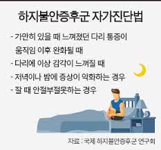  하지불안증후군RLS 원인증상특징 진단검사 다리떨림약물치료 합병증예후 수면장애 간호학문헌고찰