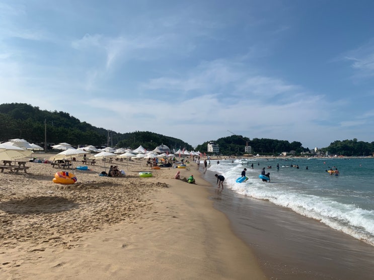 [강원도 양양 죽도해변] 백정 함재율, 죽도해변 인근 고깃집