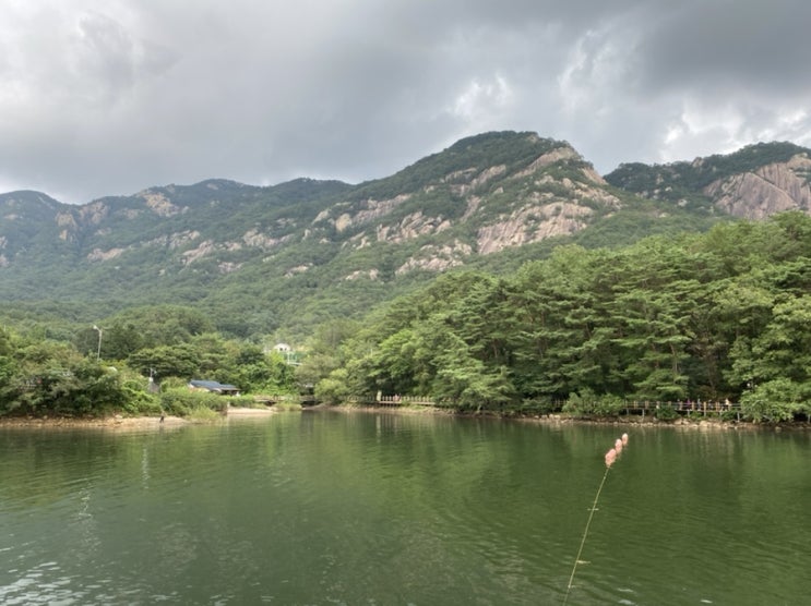  경기 포천 당일치기(한탄강지질공원, 산정호수, 갈비1987)