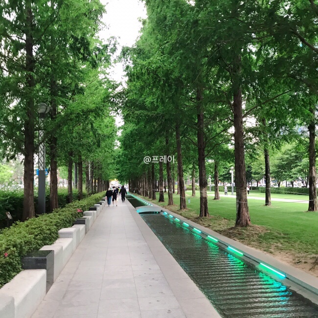  송상현 광장 : 부산 공원/서면 부전 가볼 만한 곳 / 카페하이 도넛