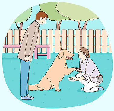  [애견꿀팁] 퍼피트레이닝, 산책교육
