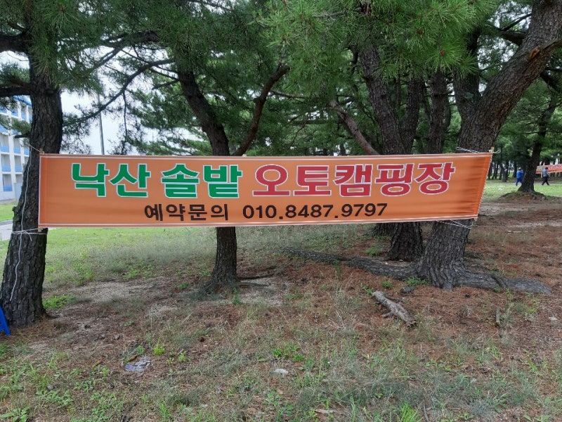 양양낙산캠핑장, 온수샤워장 완비되어 있는 낙산솔밭오토캠핑장