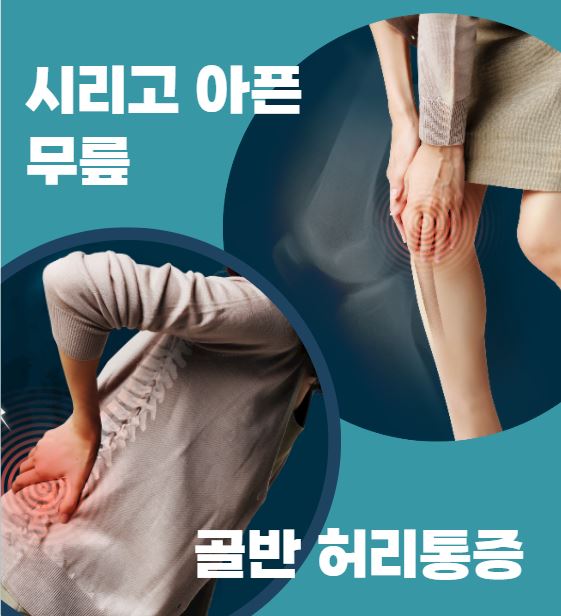 인천좌골신경통 치료 청라야간진료하는병원한의원은