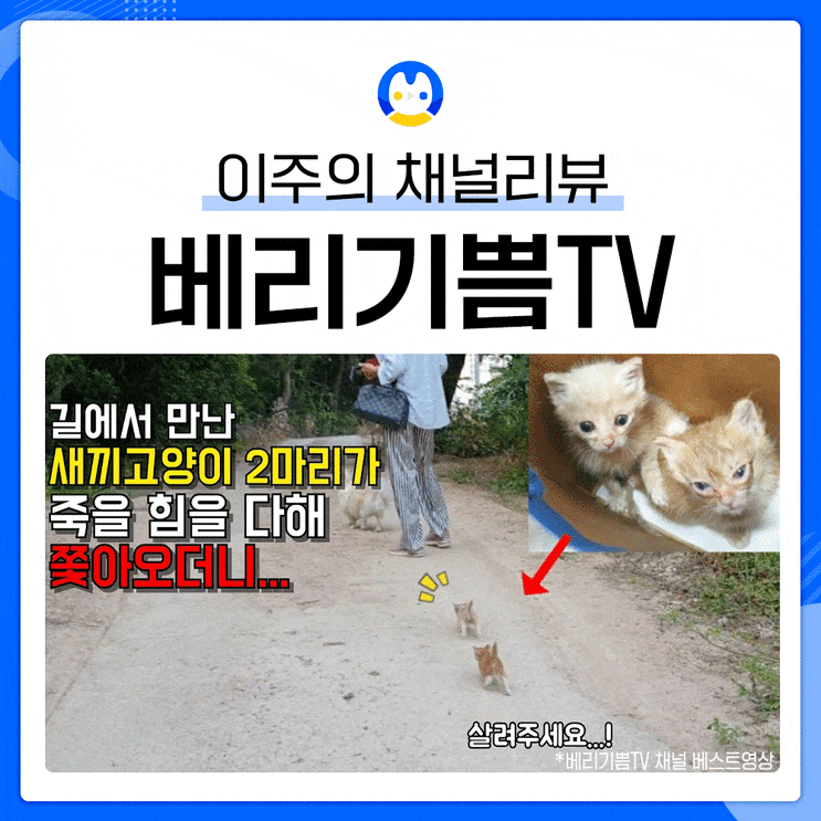  [유튜브 채널리뷰] 채널추천 채널소개 인기 상승 중인 크리에이터?ㅣ베리기쁨TV 채널