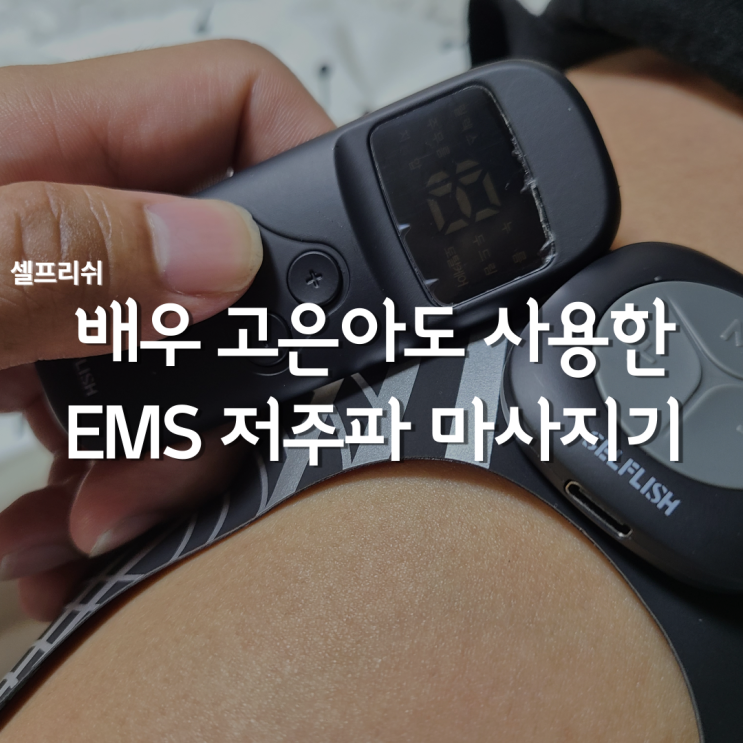  저주파마사지기 셀프리쉬, EMS 저주파 운동기구 사용 후기 리뷰
