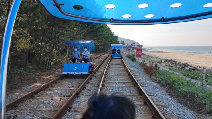  정동진 레일바이크 : 옛 정동진의 정취는 사라졌지만, 레일바이크 여정에서 옛 정동진의 역사를 본다. 아이들과 전동 바이크를 탄다.