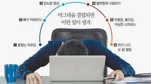  불면증 수면장애 잠의역할 중요한이유 잘자는방법7가지:마그네슘 테아닌효능 수면보조제