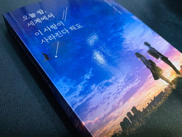  로맨스소설추천  '오늘밤 세계에서 이 사랑이 사라진다 해도' 줄거리 리뷰. 라이트노벨 같은 일본 연애소설