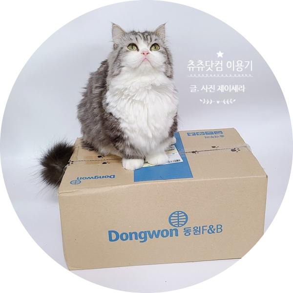 혜택 좋은 반려동물 쇼핑몰 츄츄닷컴에서 고양이용품을 구매해봤어요.