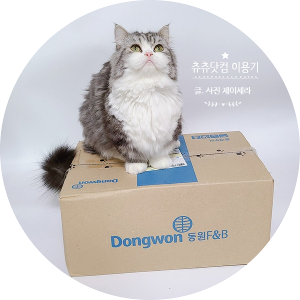  혜택 좋은 반려동물 쇼핑몰 츄츄닷컴에서 고양이용품을 구매해봤어요.