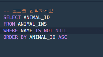  SQL 문제 4 - 이름이 있는 동물의 아이디(프로그래머스)