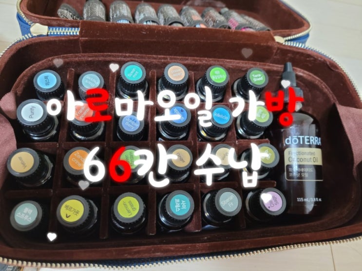  오일가방 66칸 아로마오일 가방 만족 리뷰