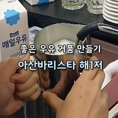  좋은 우유 거품 만들기 올바른 스티밍 바리스타 강의 해you커피 아산바리스타학원
