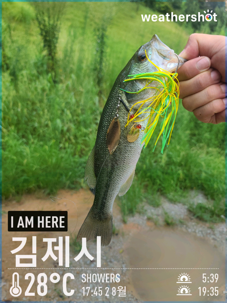  [2021.08.02] 김제시 대율저수지 배스 루어 낚시 워킹 조행기 (Feat. 노싱커, 스피너베이트)
