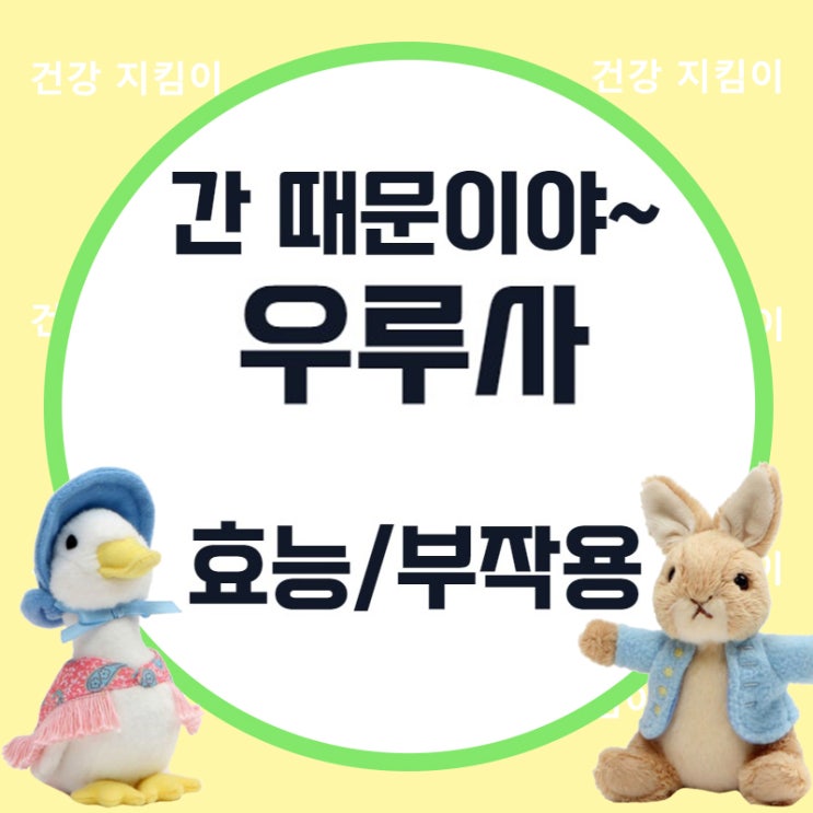  우루사 종류와 효능, 부작용까지!