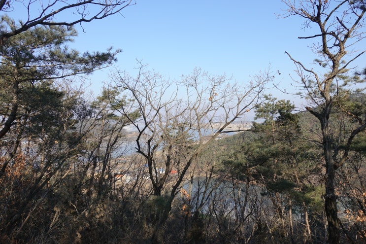 어지럼증 현훈으로 서 있거나 걷기가 힘든 이유