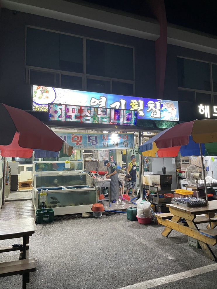 삼척 장호항 영기횟집 회 포장 후기(feat. 임원회센터는 철거) 삼척 장호항 영기횟집 회 포장 후기(feat. 임원회센터는 철거)