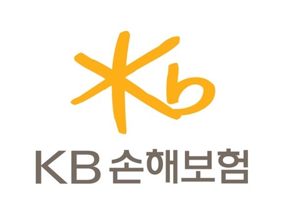 보약을 치료제로 둔갑...보험사기 일당 KB손해보험에 덜미