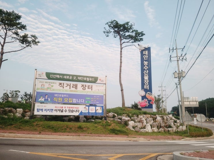  안면도여행 태안로컬푸드직매장 장보기 하나로마트보다 저렴