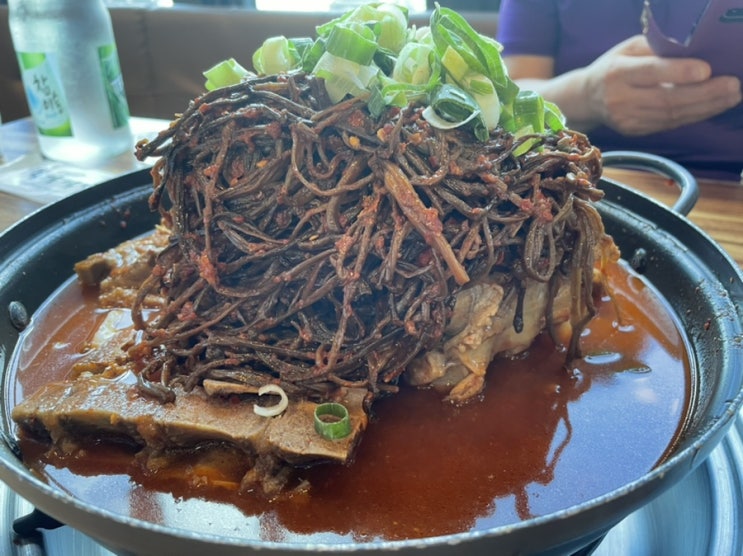  전주 맛집 육일식당에서 먹어본 고구마순 감자탕