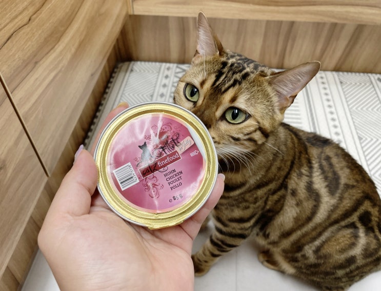 살코기 위주의 부드러운 고양이습식사료 캣츠파인푸드