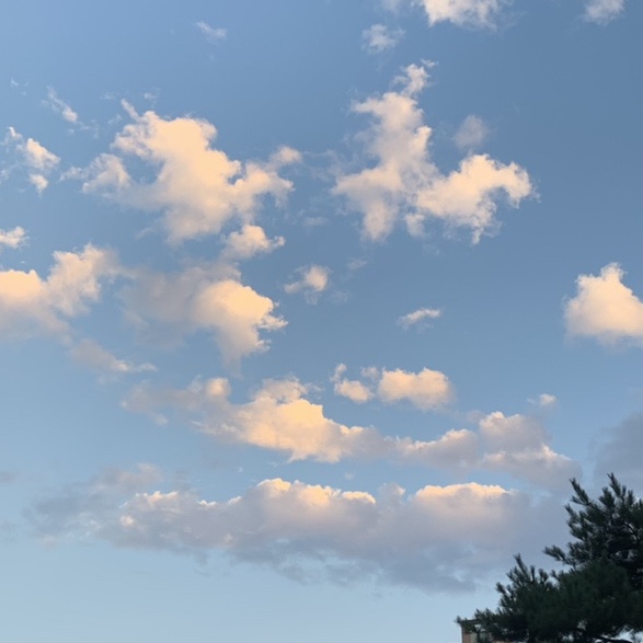  구름️ 2021.8.3