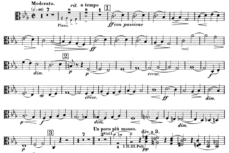 비올라 행복사(幸福死) | 라흐마니노프 피아노 협주곡 2번