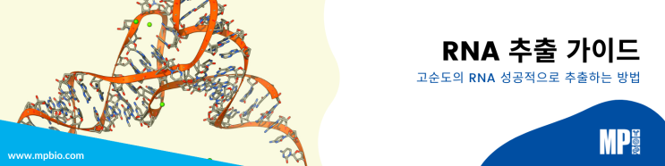 RNA 추출을 위한 실험 가이드