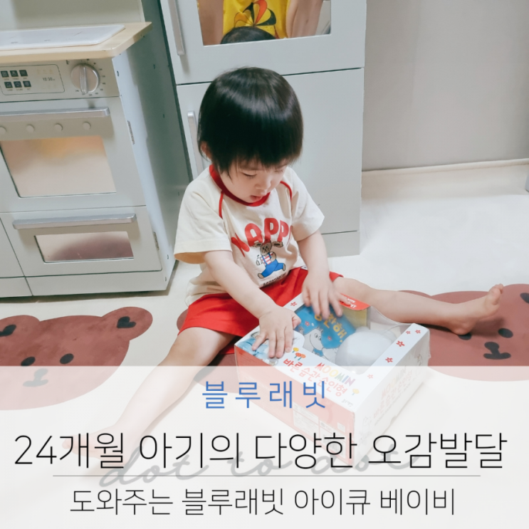 24개월 아기 오감발달 도와주는 블루래빗 아이큐 베이비