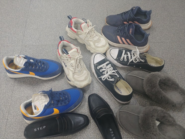  다이소 신발탈취제 구매하려다가..