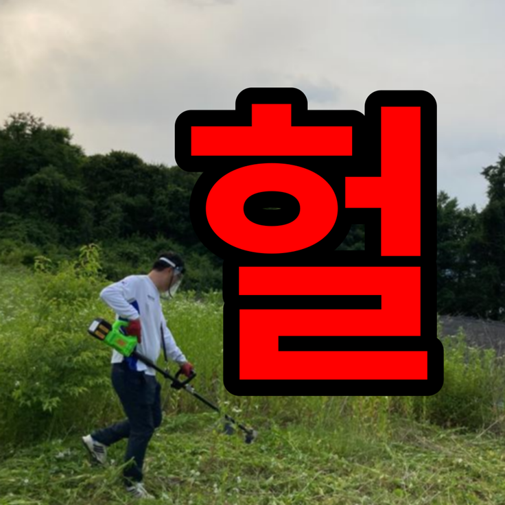 홈쇼핑 예초기 벌초 가능할까?