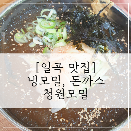 [일곡 맛집] 모밀 맛집 청원모밀 일곡점 (빽다방)