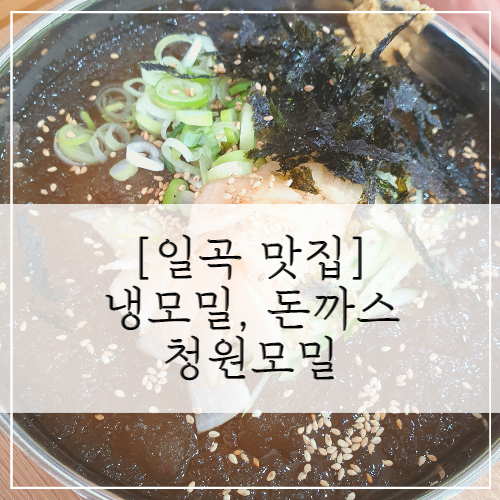  [일곡 맛집] 모밀 맛집 청원모밀 일곡점 (빽다방)