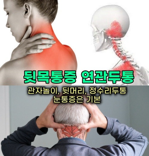 뒷머리 통증(왼쪽 오른쪽), 후두하근