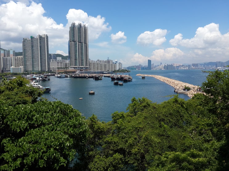 [블로그씨] 여름이었다... 홍콩, 캐나다, 한국에서 보낸 여름들