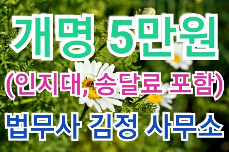  파주, 보령, 홍성, 정읍, 울산 최근 법원 개명허가 사례