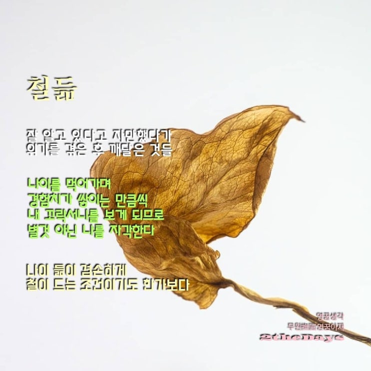  철들어 가는 아재, 철듦