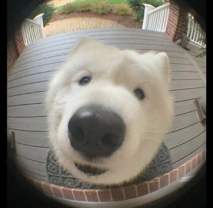  총총
