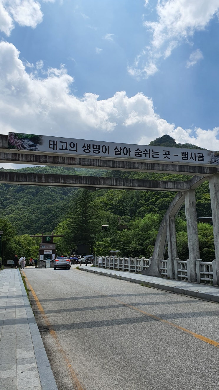  [지리산 초록초록 시원한 뱀사골]