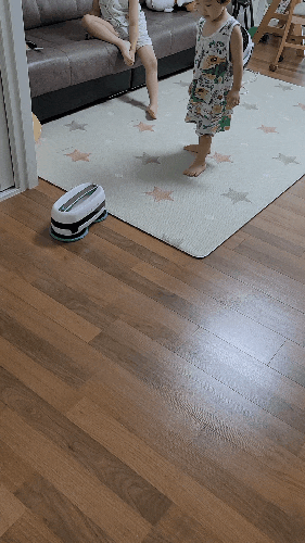 에브리봇엣지 물걸레 로봇청소기, 매트위에 올라갈수있을까요 (에브리봇엣지 장점,단점/ 내....