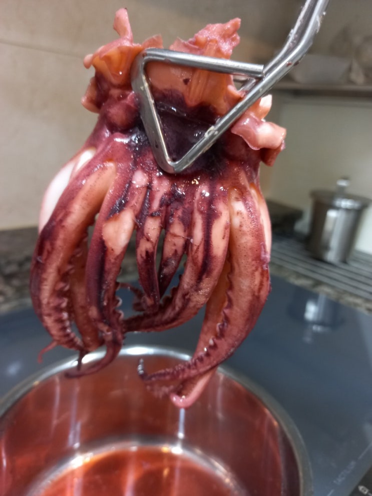  홈술안주::오징어삶기_물에 삶지마세요!::탱글탱글 맛있는 오징어