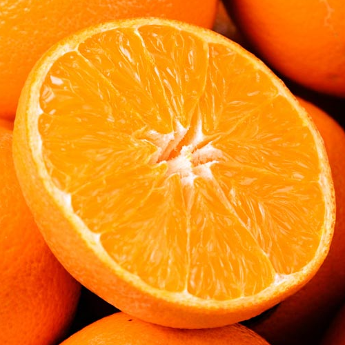 가성비 좋은 고당도 오렌지, 1박스, 오렌지중과15과(210g내외2개주문시33과발송) 추천합니다