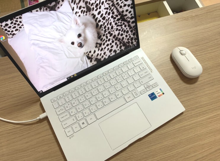  1kg 미만의 행복. LG 그램 14인치 노트북 사용기 LG gram 14ZD90P-GX50K