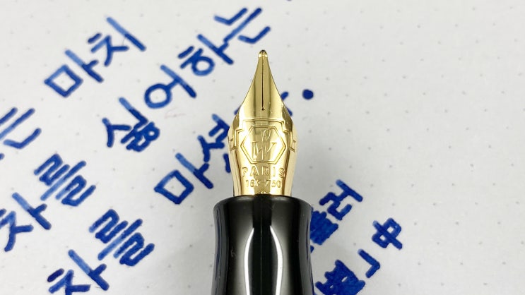  왠지 알 것 같은 그 표정 (만년필 필사, 고딕체,워터맨 찰스톤 만년필)